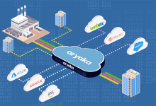 Aryaka广域网状态报告2020 摘要-边缘云