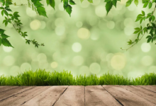 边缘计算的三分割策略-边缘云