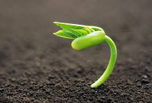 合谷新能源AGE开发具有边缘计算BMS和物联网功能的锂离子移动电池组-边缘云